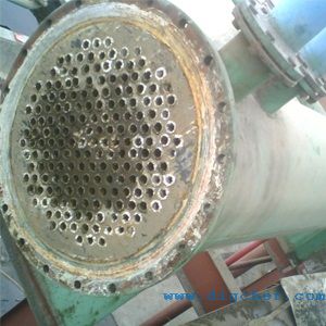 ��֬�����S���l����ϴ�C-��֬�����S���l����ϴ�O��